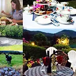 Hillcrest Bed & Breakfast