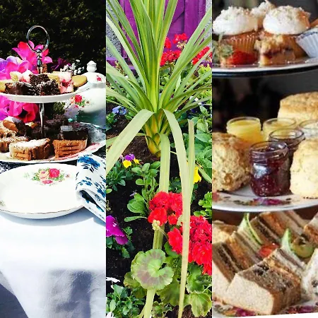 Bed and Breakfast Hillcrest Boyhollagh