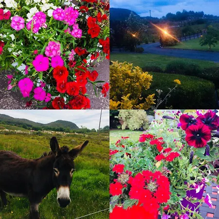 Bed and Breakfast Hillcrest Boyhollagh