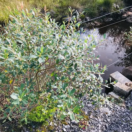 Bed & Breakfast Hillcrest *