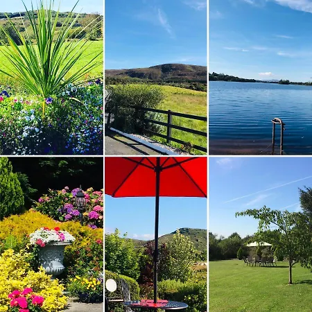 Hillcrest * Boyhollagh