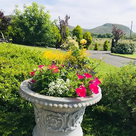 Hillcrest * Boyhollagh