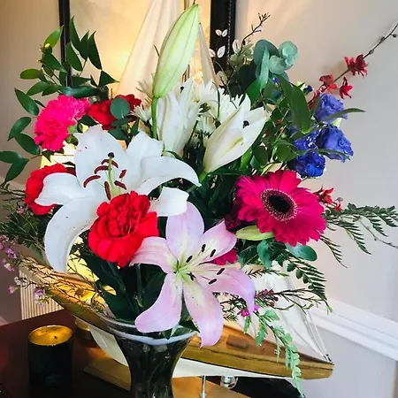 Bed and Breakfast Hillcrest Boyhollagh