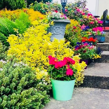 Hillcrest Bed and Breakfast *