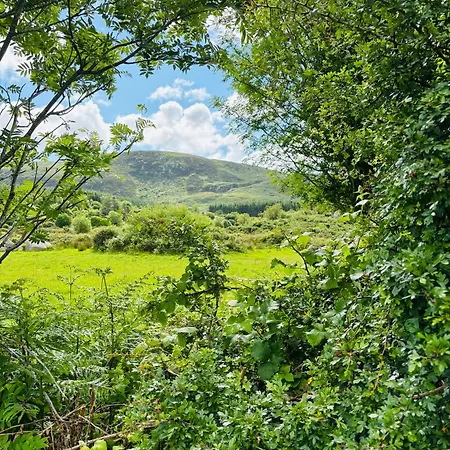 Bed and breakfast Hillcrest