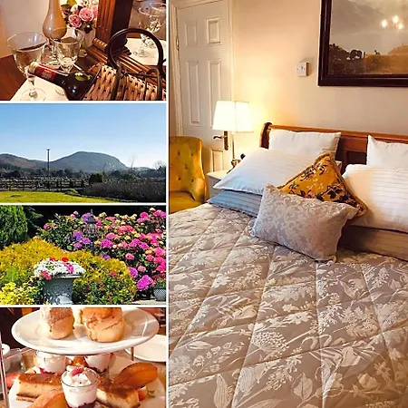Bed & Breakfast Hillcrest Boyhollagh