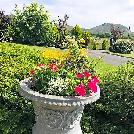 Hillcrest Bed & Breakfast