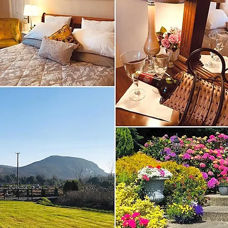 Bed & Breakfast Hillcrest *