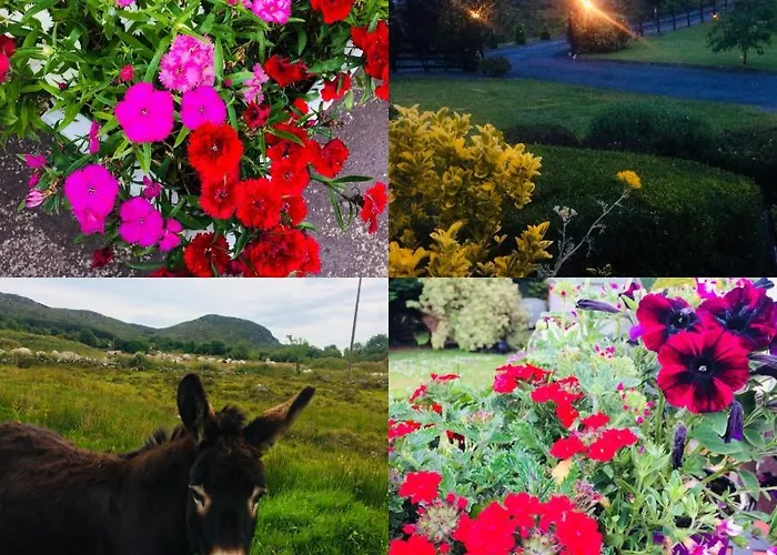 Oda ve Kahvaltı Hillcrest Boyhollagh