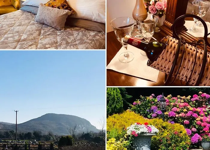 Oda ve Kahvaltı Hillcrest Boyhollagh