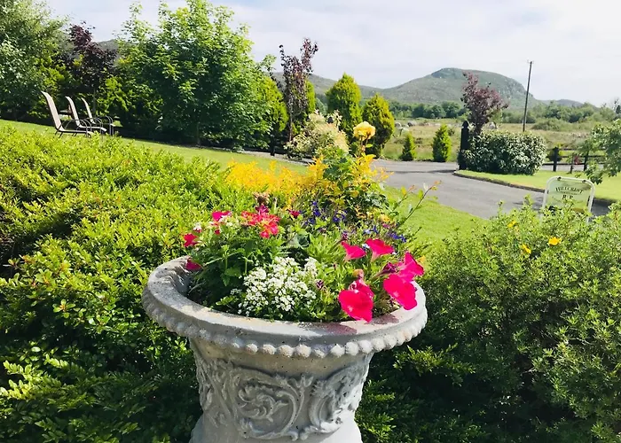 Hillcrest * Boyhollagh