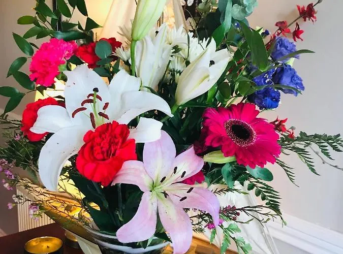 Frühstückspension Hillcrest Boyhollagh