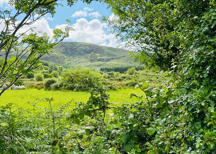 Frühstückspension Hillcrest